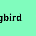Hummingbird für WordPress: Mehr Geschwindigkeit für Deine Webseite